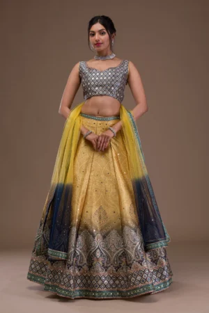 Mustard Mirrorwork Banarasi Readymade Lehenga